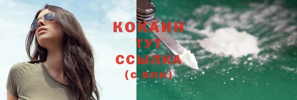 spice Белокуриха