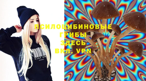 spice Белокуриха